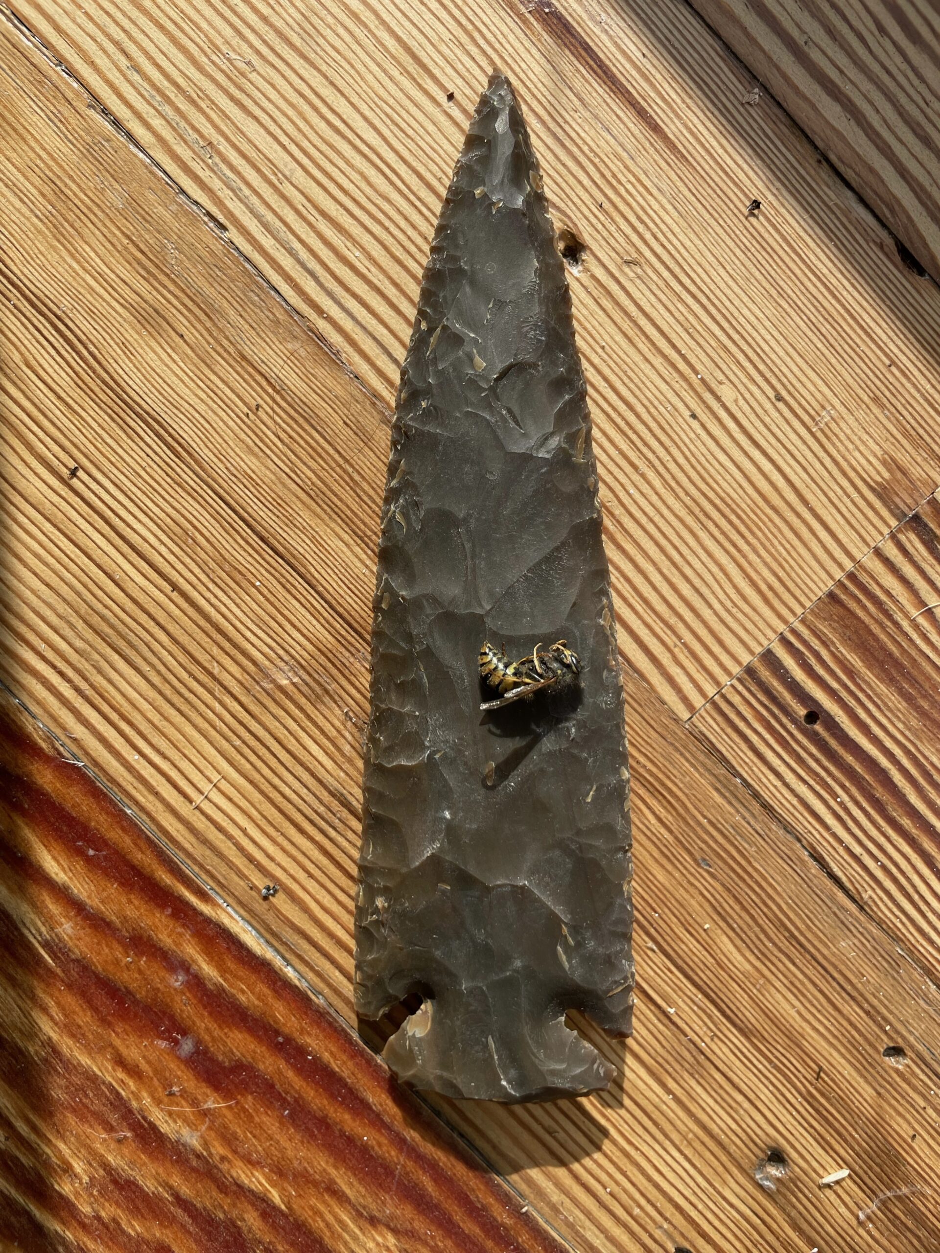 7 inch Stone Spear Head