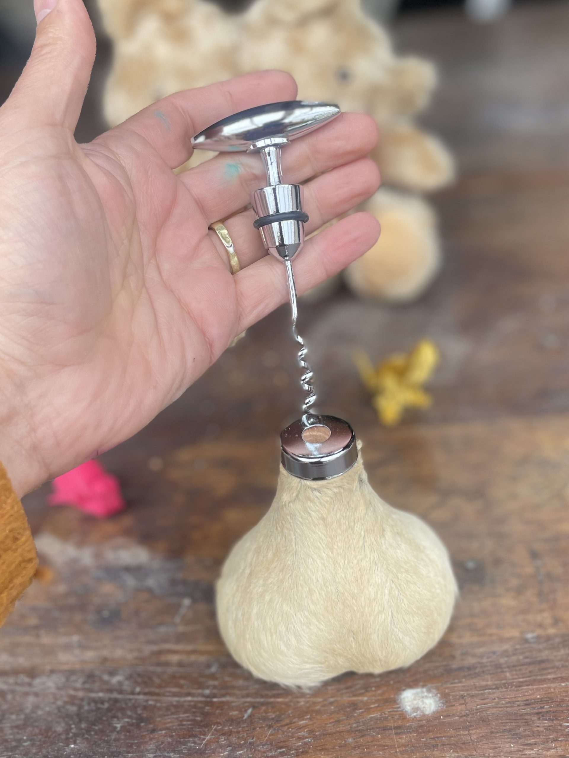 Kangaroo Scrotum Corkscrew